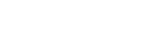 Stallion Finance